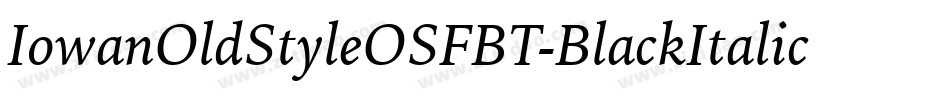 IowanOldStyleOSFBT-BlackItalic字体转换