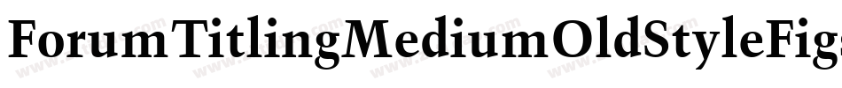 ForumTitlingMediumOldStyleFigs字体转换