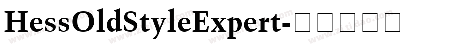 HessOldStyleExpert字体转换
