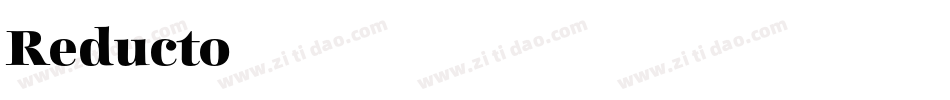 Reducto字体转换