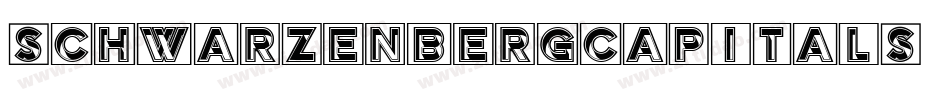 SchwarzenbergCapitals字体转换