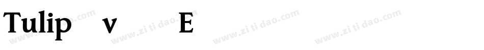 Tulip-v75E字体转换