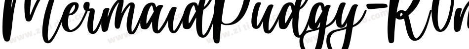 MermaidPudgy-R0mE字体转换