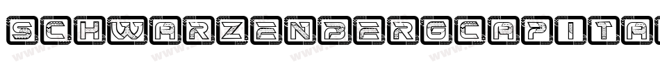 SchwarzenbergCapitals字体转换