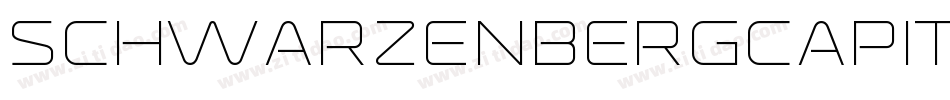 SchwarzenbergCapitals字体转换