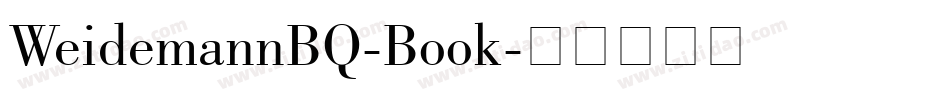 WeidemannBQ-Book字体转换