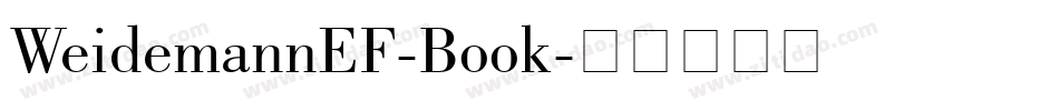 WeidemannEF-Book字体转换