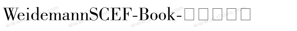 WeidemannSCEF-Book字体转换