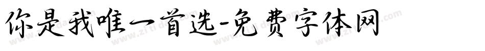你是我唯一首选字体转换