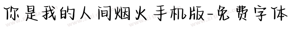 你是我的人间烟火手机版字体转换