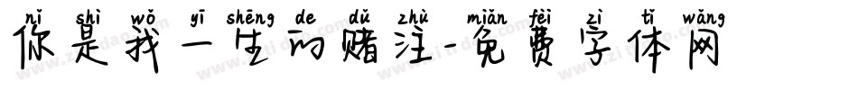 你是我一生的赌注字体转换