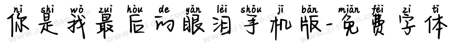 你是我最后的眼泪手机版字体转换