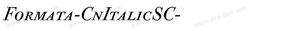 Formata-CnItalicSC字体转换
