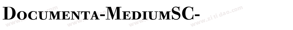 Documenta-MediumSC字体转换