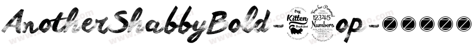 AnotherShabbyBold-41op字体转换
