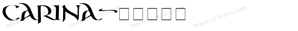 Carina字体转换