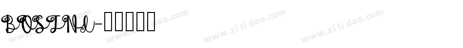 BOSTNI字体转换