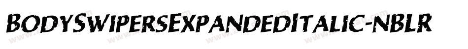 BodySwipersExpandedItalic-nBLR字体转换 BodySwipersExpandedItalic-nBLR字体转换