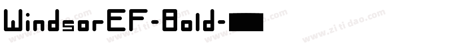 WindsorEF-Bold字体转换