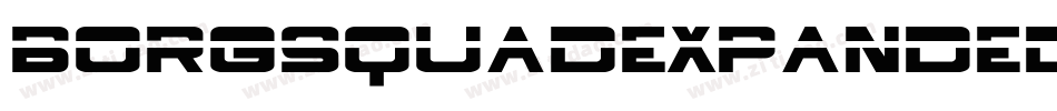borgsquadexpanded字体转换