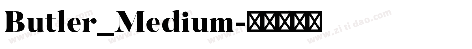 Butler_Medium字体转换