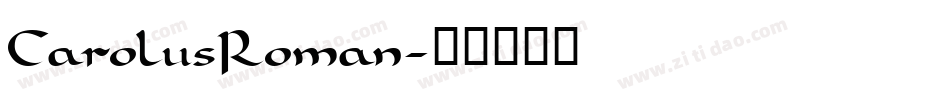 CarolusRoman字体转换