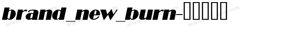 brand_new_burn字体转换