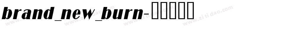 brand_new_burn字体转换