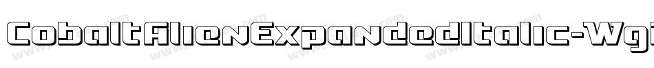 CobaltAlienExpandedItalic-WgB4字体转换