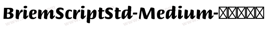 BriemScriptStd-Medium字体转换