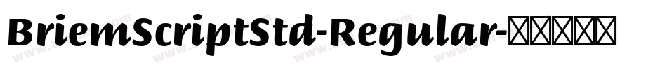BriemScriptStd-Regular字体转换