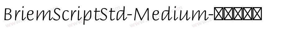 BriemScriptStd-Medium字体转换