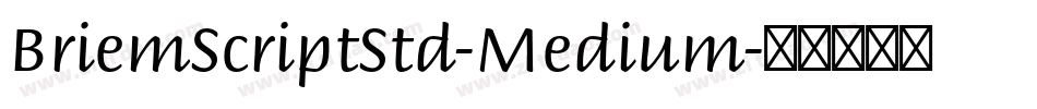 BriemScriptStd-Medium字体转换