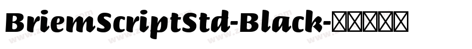 BriemScriptStd-Black字体转换