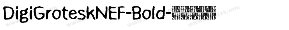 DigiGroteskNEF-Bold字体转换