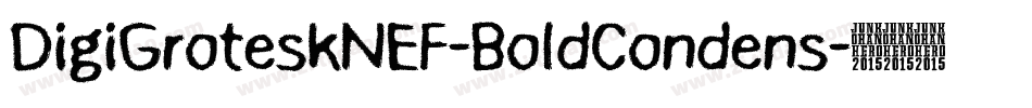 DigiGroteskNEF-BoldCondens字体转换