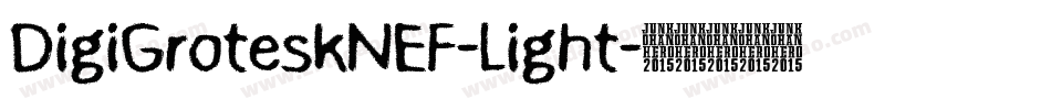 DigiGroteskNEF-Light字体转换