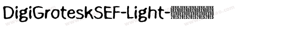 DigiGroteskSEF-Light字体转换