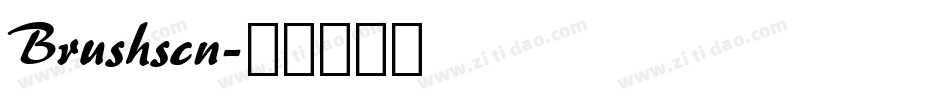 Brushscn字体转换