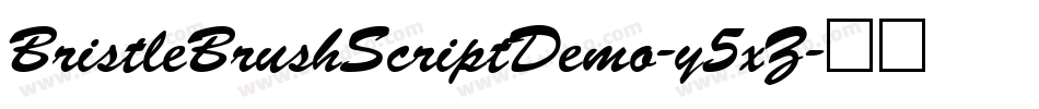 BristleBrushScriptDemo-y5xZ字体转换
