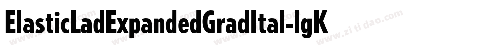 ElasticLadExpandedGradItal-lgK3D字体转换