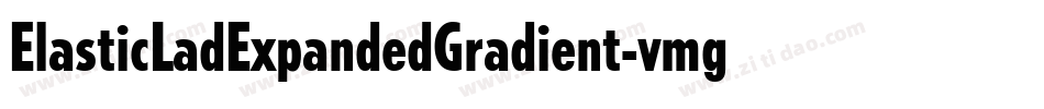 ElasticLadExpandedGradient-vmg89字体转换 ElasticLadExpandedGradient-vmg89字体转换