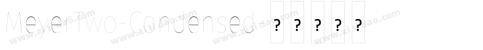 MeyerTwo-Condensed字体转换