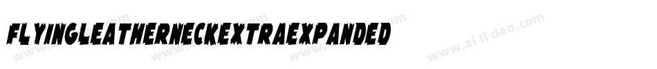 FlyingLeatherneckExtraExpanded-WnzA字体转换