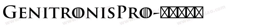 GenitronisPro字体转换