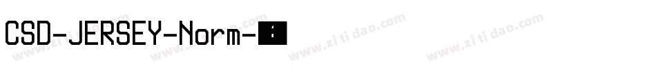 CSD-JERSEY-Norm字体转换