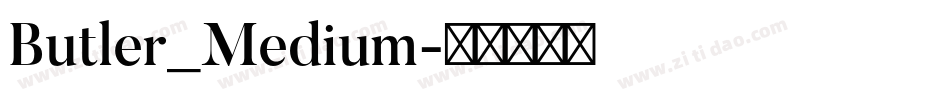 Butler_Medium字体转换