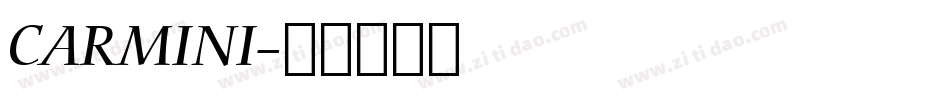 CARMINI字体转换