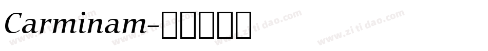 Carminam字体转换