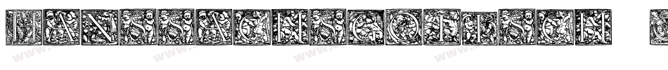 Hanssachsgotisch-2Orv字体转换